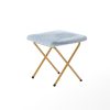 FV-FDS-001-2FR-DTAQ-SGD-GG - Image 9