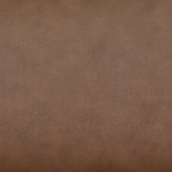 BT-7821-PALIMINO-GG - Image 2