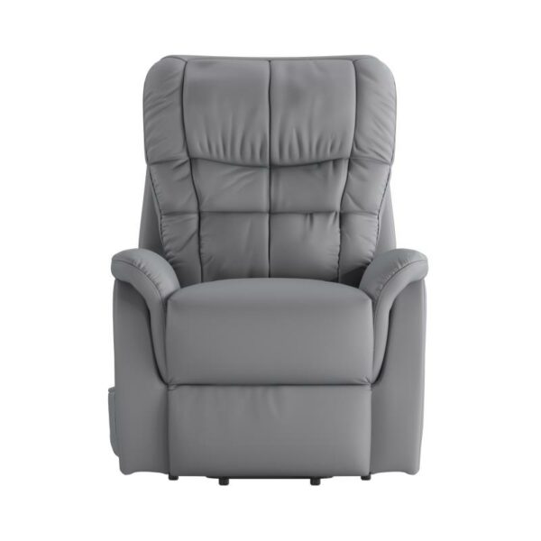 CH-US-153062L-GY-LEA-GG - Image 2