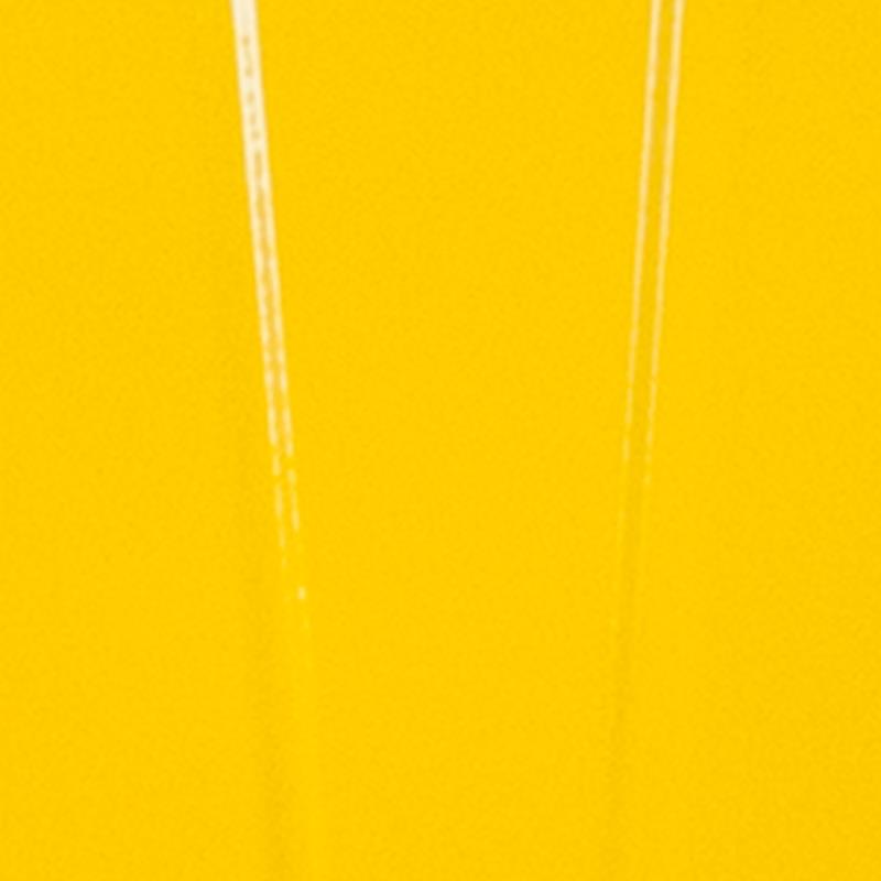 CH-31270-YL-GG - Image 8